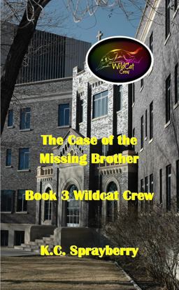 The Case of the Missing Brother