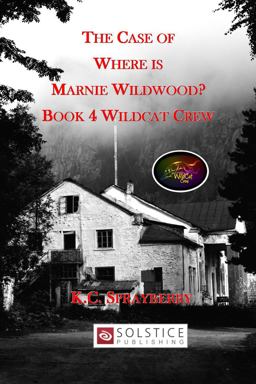 The Case of Where Is Marnie Wildwood?