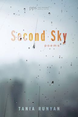 Second Sky  9781625642882 Front Cover