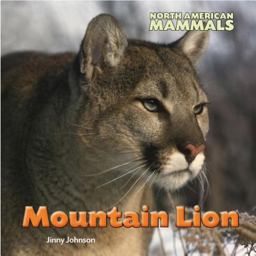 Mountain Lion