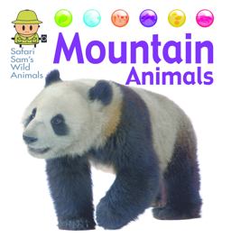 Mountain Animals