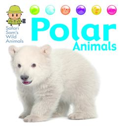 Polar Animals