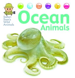 Ocean Animals