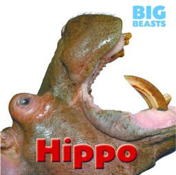 Hippo