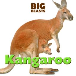 Kangaroo