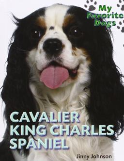 Cavalier King Charles Spaniel
