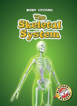 The Skeletal System