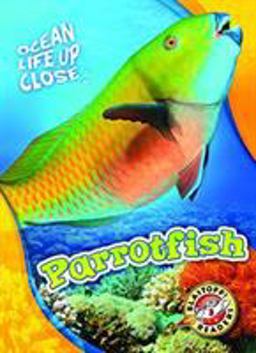 Parrotfish