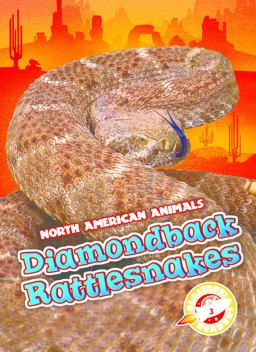 Diamondback Rattlesnakes