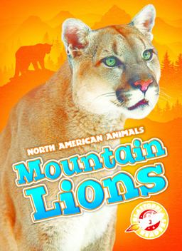 Mountain Lions
