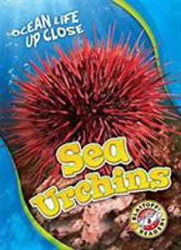 Sea Urchins