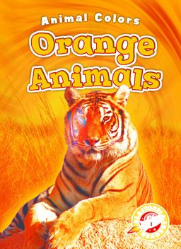 Orange Animals