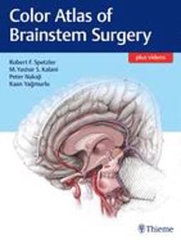 Color Atlas of Brainstem Surgery  9781626230279 Front Cover