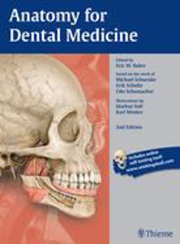 Anatomy for Dental Medicine 2nd 9781626230859 Front Cover