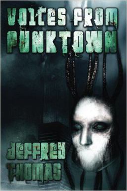 Voices from Punktown 2nd Edition