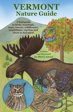 Vermont Nature Vermont Nature