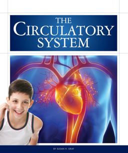 The Circulatory System
