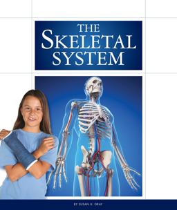 The Skeletal System
