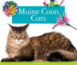 Maine Coon Cats Maine Coon Cats