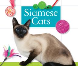 Siamese Cats Siamese Cats
