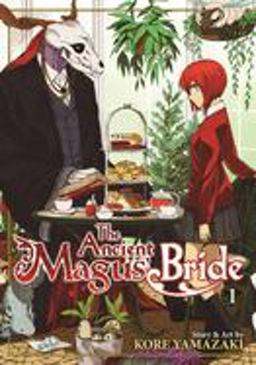 Ancient Magus' Bride Vol. 1  9781626921870 Front Cover