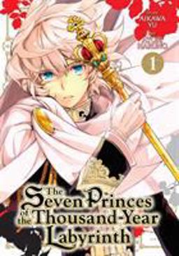 The Seven Princes of the Thousand-Year Labyrinth  9781626923775 Front Cover
