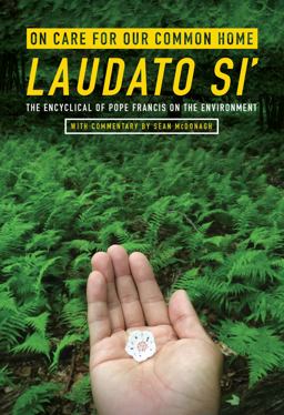 On Care for Our Common Home Laudato Si' - the Encyclical of Pope Francis on the Environment  9781626981737 Front Cover