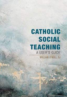 Catholic Social Teaching A User's Guide  9781626984172 Front Cover