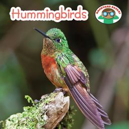 Hummingbirds