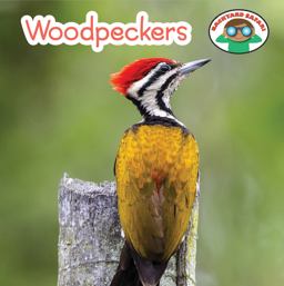Woodpeckers Woodpeckers