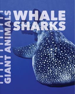 Whale Sharks
