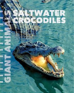 Saltwater Crocodiles