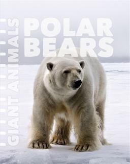 Polar Bears