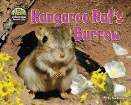 Kangaroo Rat's Burrow