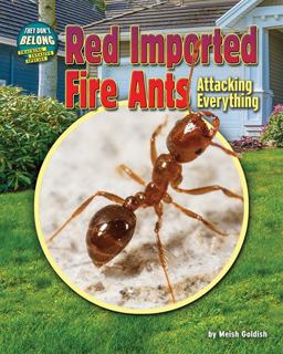 Red Imported Fire Ants