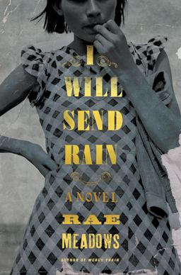 I Will Send Rain A Novel  9781627794268 Front Cover
