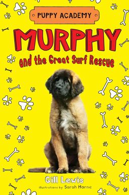 Murphy and the Great Surf Rescue  9781627798044 Front Cover