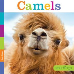 Seedlings: Camels