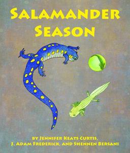 Salamander Season