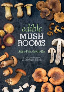Edible Mushrooms Safe to Pick, Good to Eat  9781628736441 Front Cover