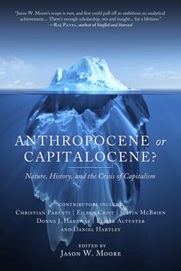 Anthropocene or Capitalocene?: Nature, History, and the Crisis of Capitalism  9781629631486 Front Cover