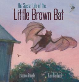 Secret Life of the Little Brown Bat  9781629796017 Front Cover