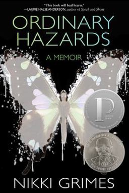 Ordinary Hazards A Memoir  9781629798813 Front Cover