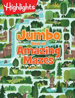 Jumbo Book of Amazing Mazes:  9781629798844 Front Cover