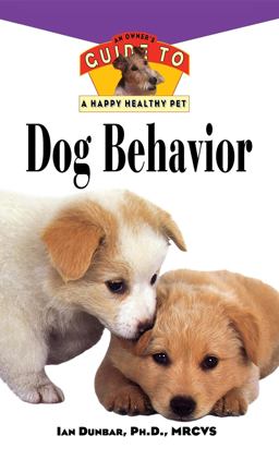 Dog Behavior Dog Behavior