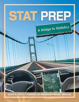 Stat Prep: a Bridge to Statistics