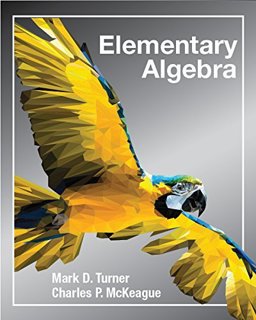 Elementary Algebra (paperback)