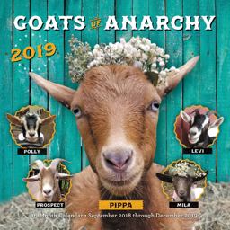 Goats of Anarchy 2019 16-Month Calendar - September 2018 Through December 2019  9781631064807 Front Cover