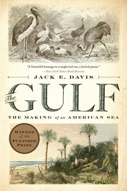 Gulf The Making of an American Sea  9781631494024 Front Cover