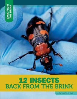 12 Insects Back from the Brink
